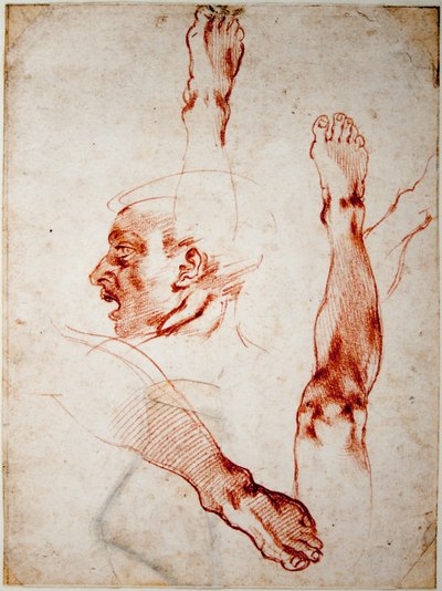 Male Head in Profile, Studies of Limbs by Michelangelo Buonarroti